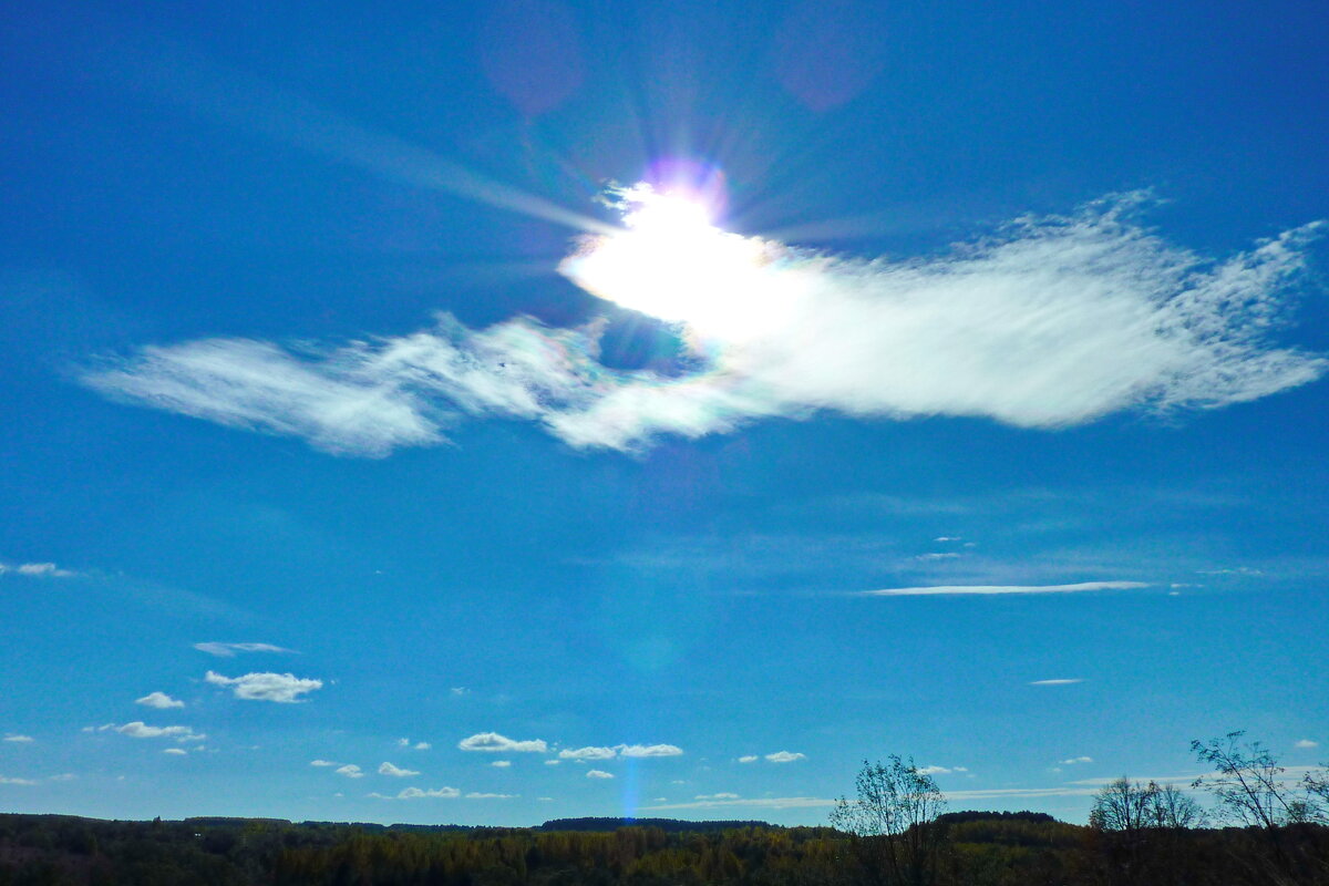 птица счастья - shasha1950 