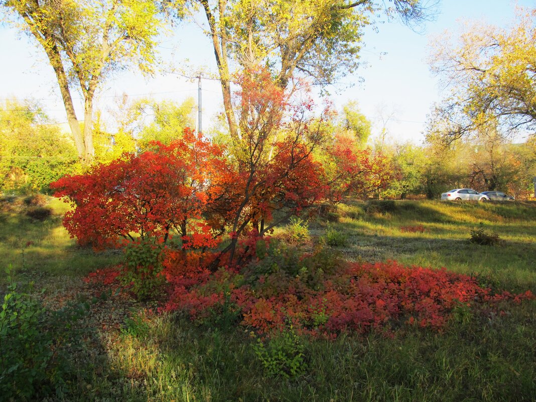 прекрасный октябрь - Елена Шаламова