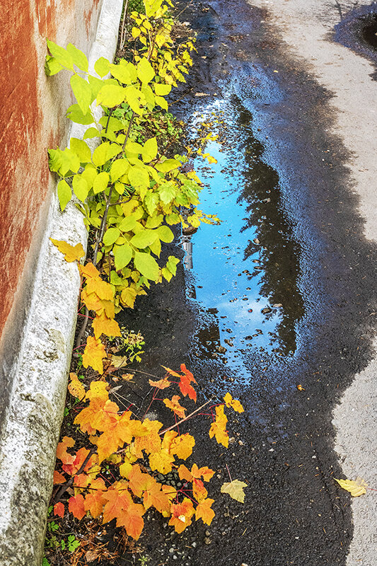 Риддер - Дмитрий 