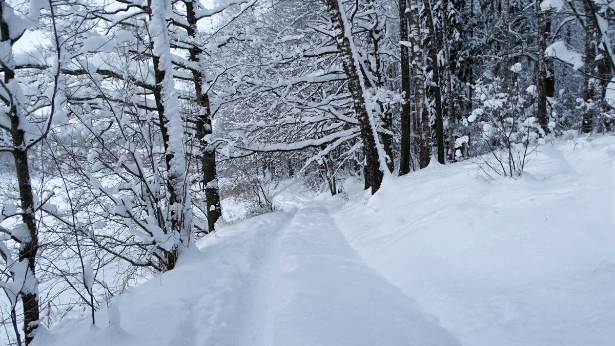 Зима в январе. - Милешкин Владимир Алексеевич 