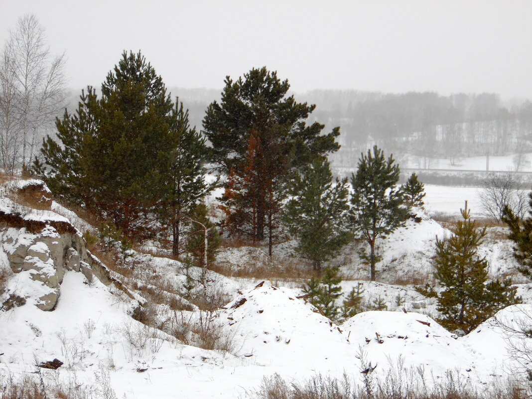Заметает зима. - nadyasilyuk Вознюк