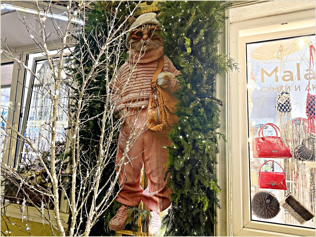 Новогодние витрины города котов и кошек. - Валерия Комова