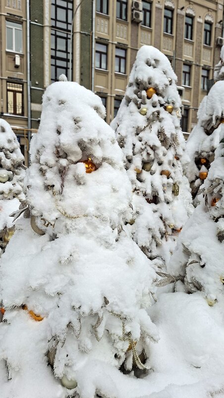 В снежной плену - ИРЭН@ .