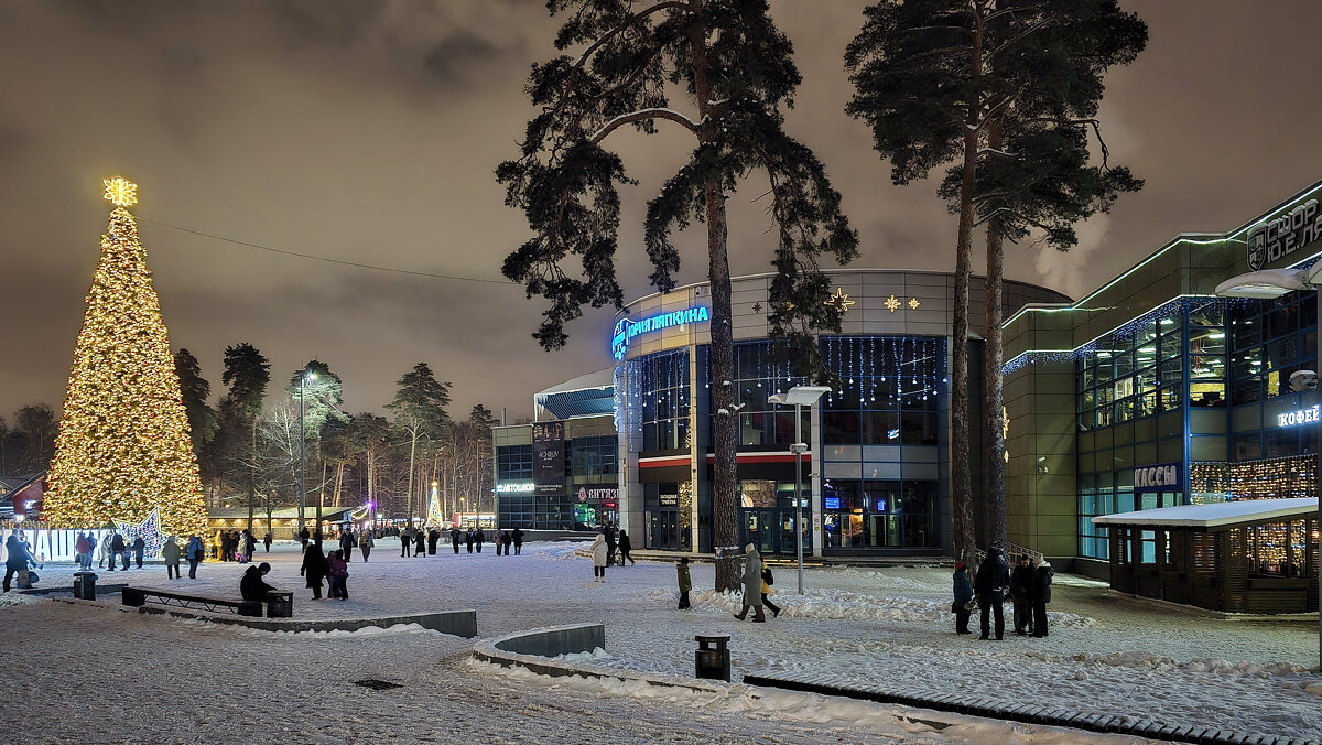 Новогодний вечер - Oleg S 