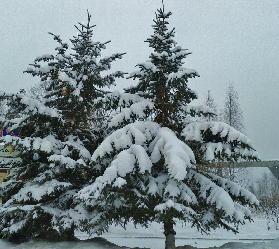 решают проблемы - Владимир 