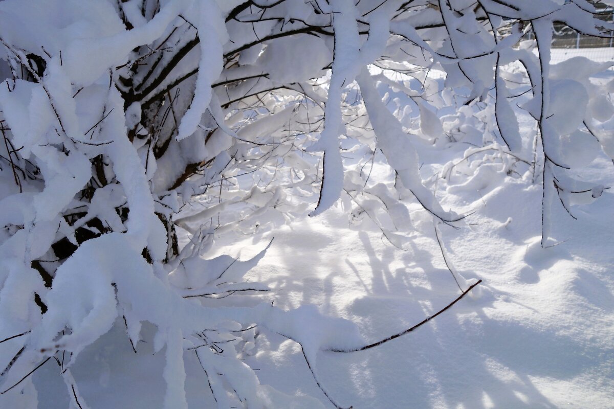 В окрестностях Калининграда - Рита Симонова