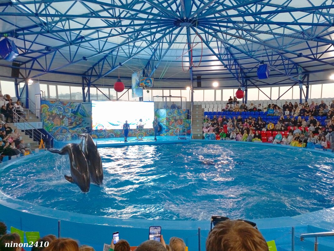 Адлер. Сочи Парк... шоу дельфинов... - Нина Бутко
