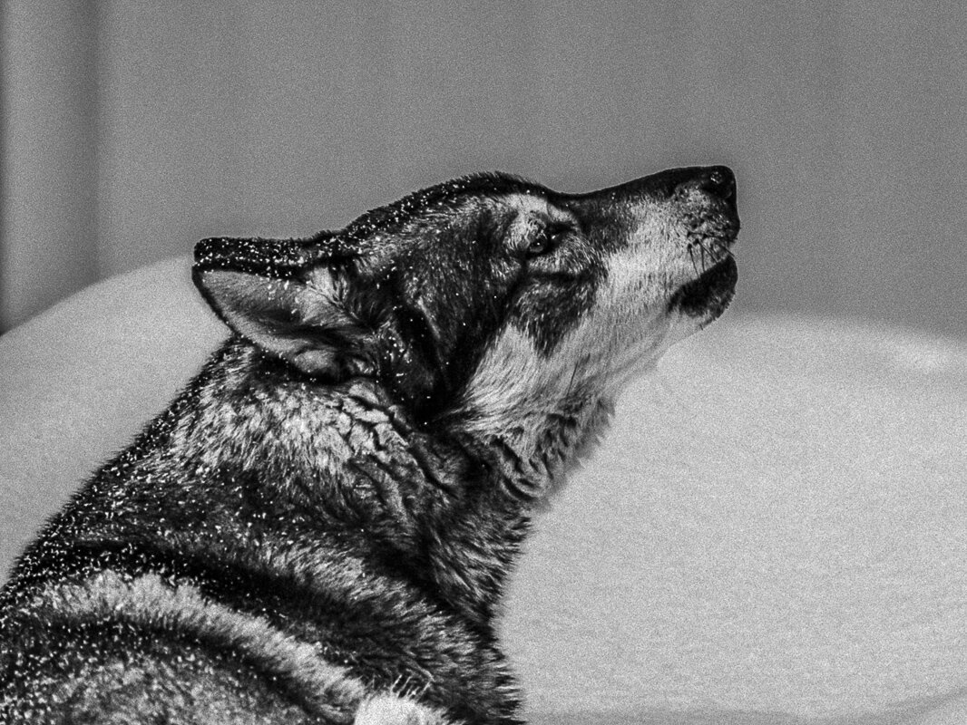 ... - Жора Житников