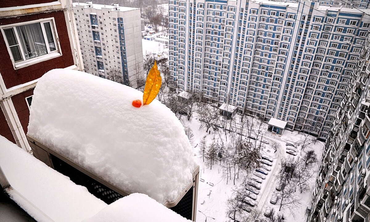 А у нас во дворе снегу по самую шапку,,,) - Анатолий Колосов