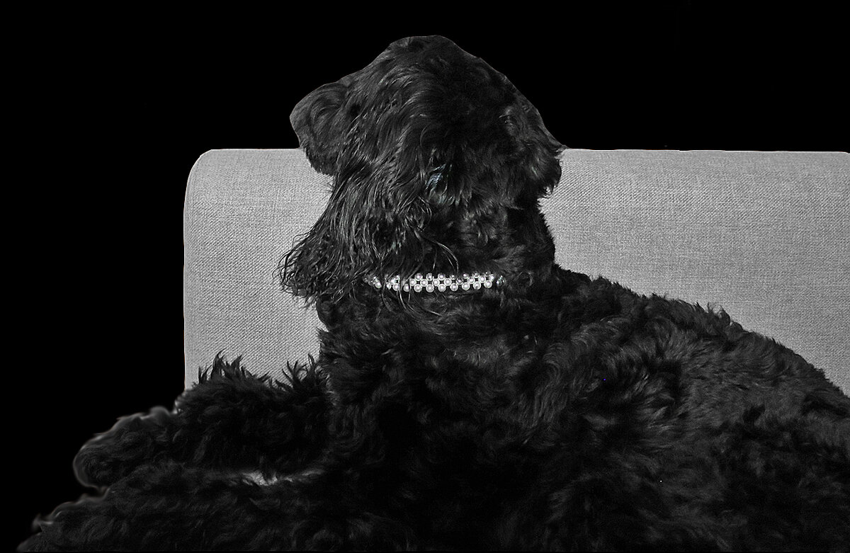 Туча отдыхает - Светлана 