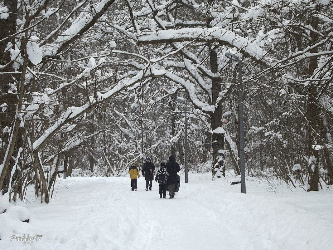 Прогулка в морозный день... - Freddy 97