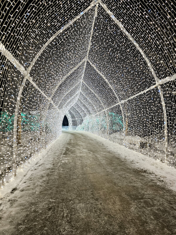 что там дальше? - Ольга Косачова что там дальше? - Ольга Косачова