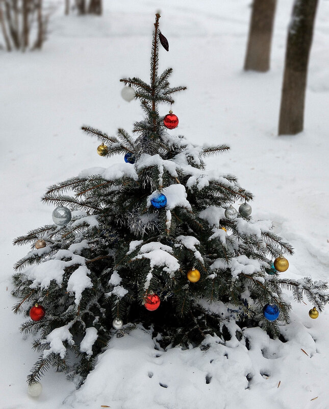 С Новым годом!!! - Радмир Арсеньев