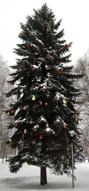 С Новым годом!!! - Радмир Арсеньев С Новым годом!!! - Радмир Арсеньев