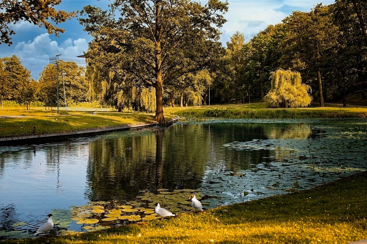 Времена года - Vlaimir 