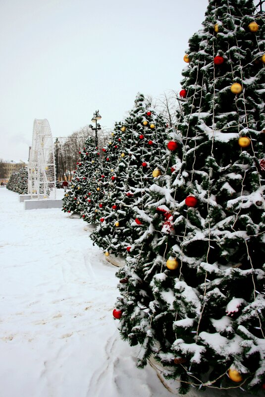 Кронштадт - Наталья Герасимова