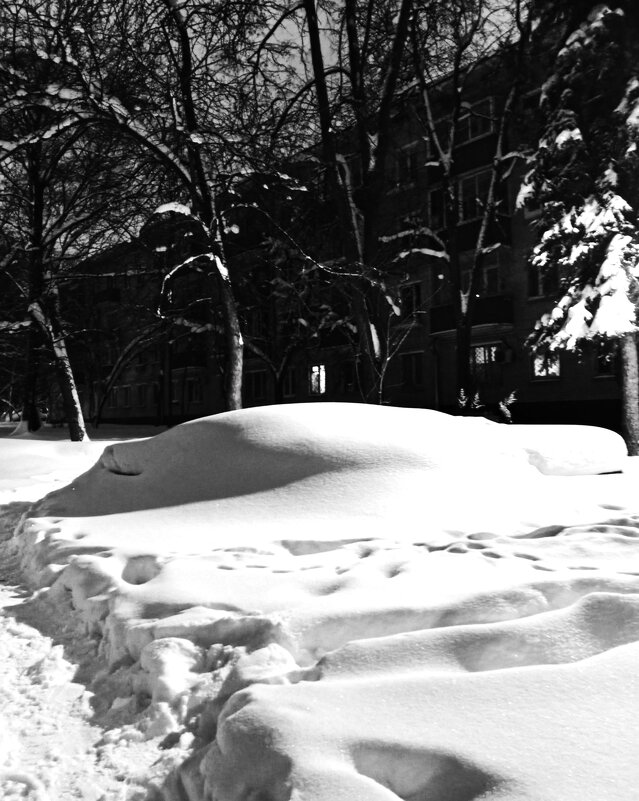 Снег, снег, снег... - Василий Палий