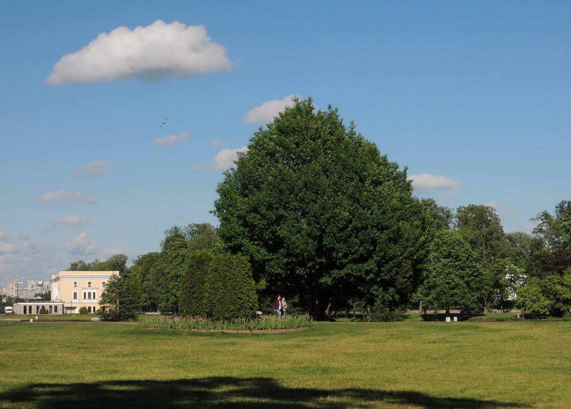 уголок Петроградской стороны - sv.kaschuk 