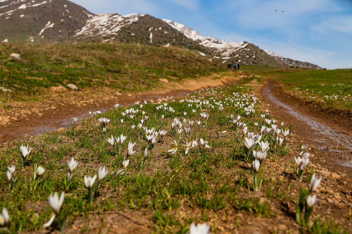 Казахстан. Уже  скоро!!! - Андрей Щукин