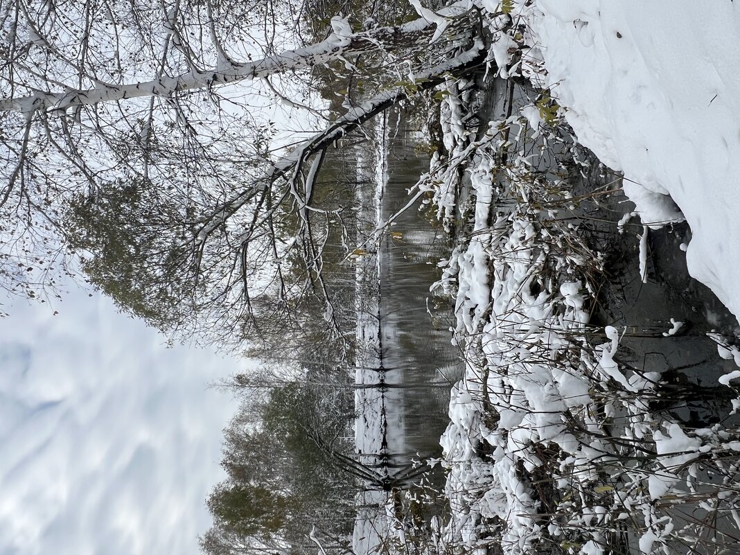 Начало зимы. - Дмитрий Радионов Начало зимы. - Дмитрий Радионов