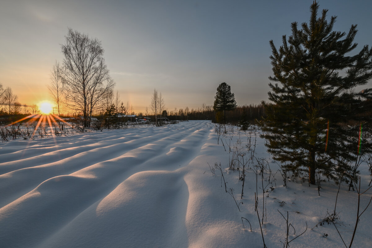 в лучах закатного солнца - сергей 