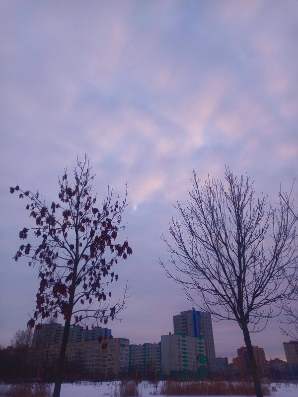 Закат - Сапсан 