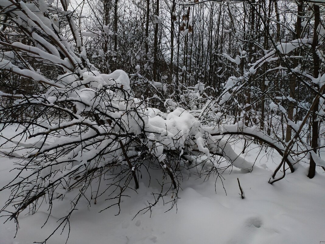 Сезон нецветной фотографии продолжается - Андрей Лукьянов Сезон нецветной фотографии продолжается - Андрей Лукьянов