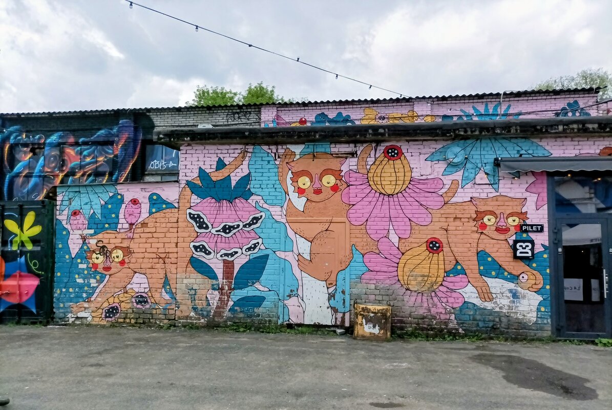 Прогулка по DEPOO - Veera V