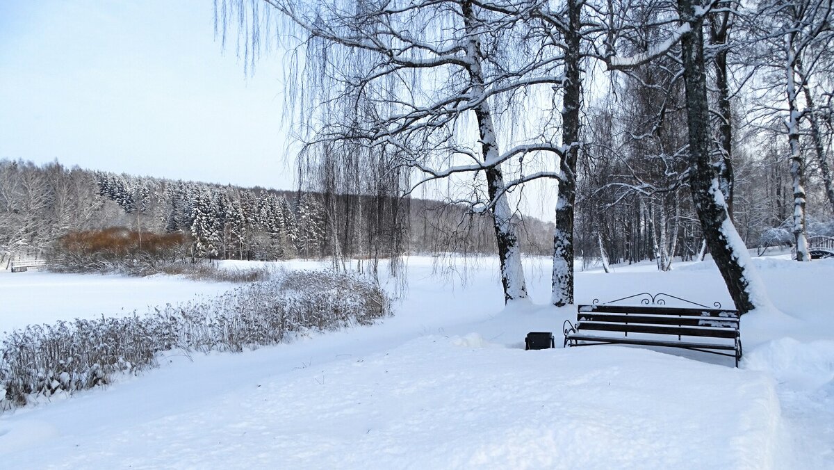Зима в январе. - Милешкин Владимир Алексеевич 