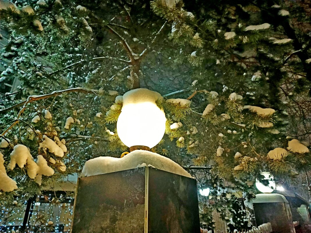 Уличные фонари. - Vladimir Semenchukov