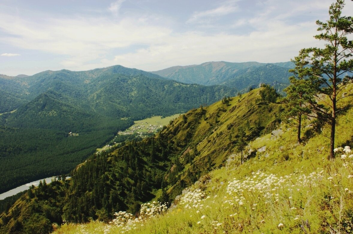 Алтайские пейзажи - Галина Нестратова