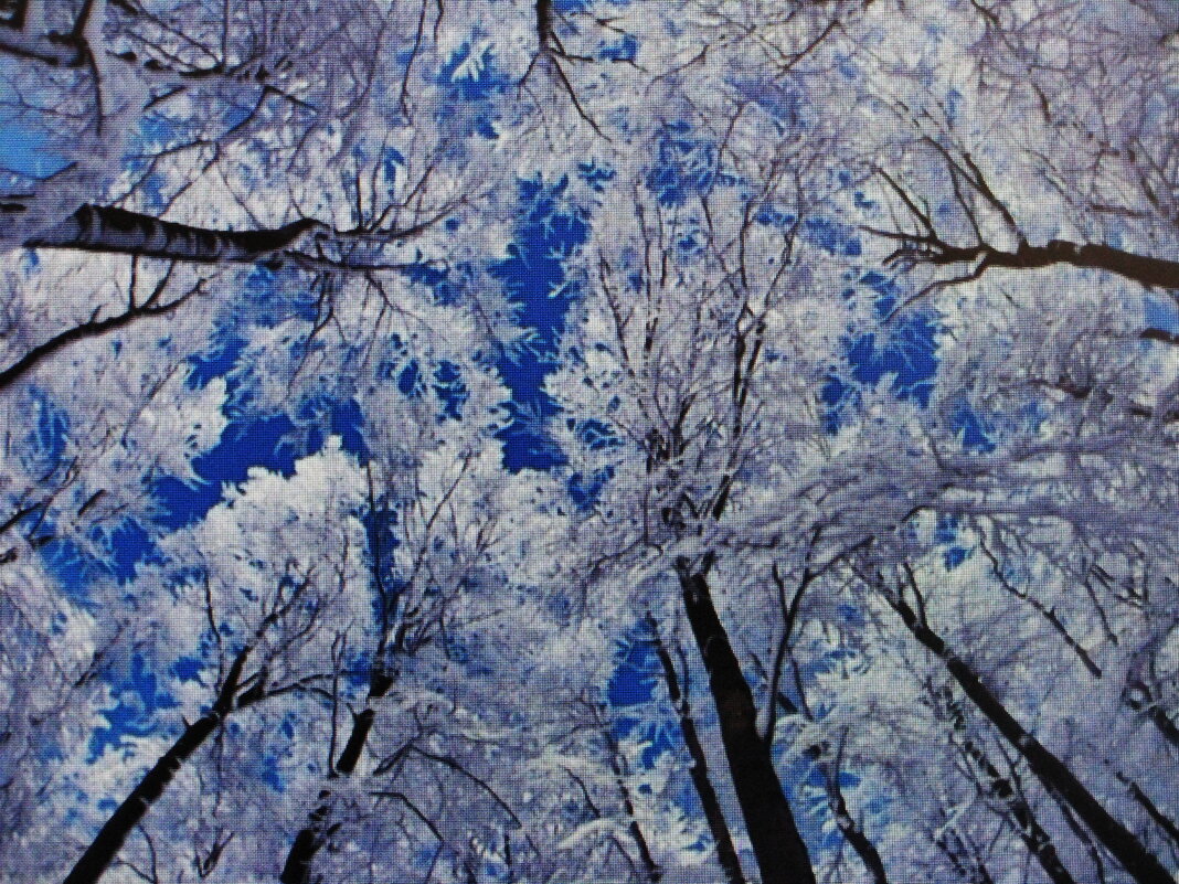 Уходящие в высь - Людмила Смородинская