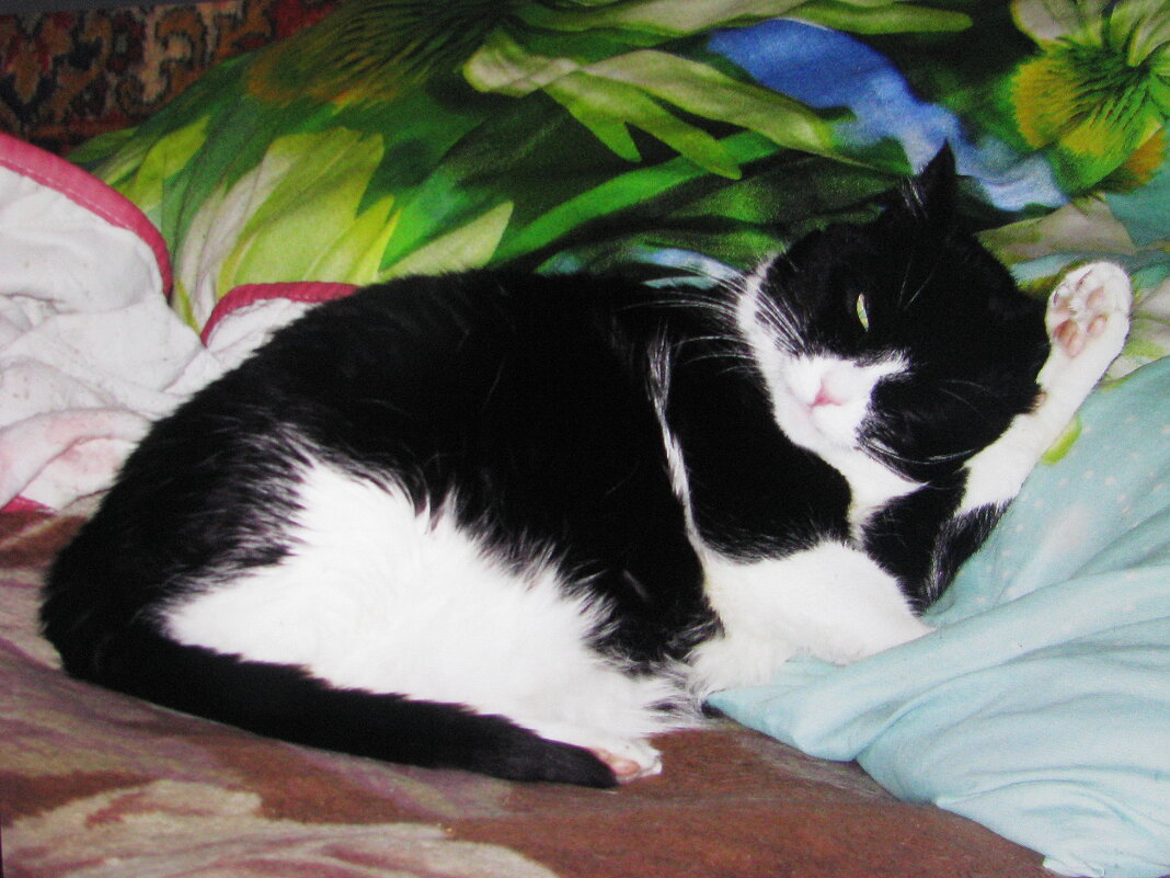 После прогулки - Людмила Смородинская