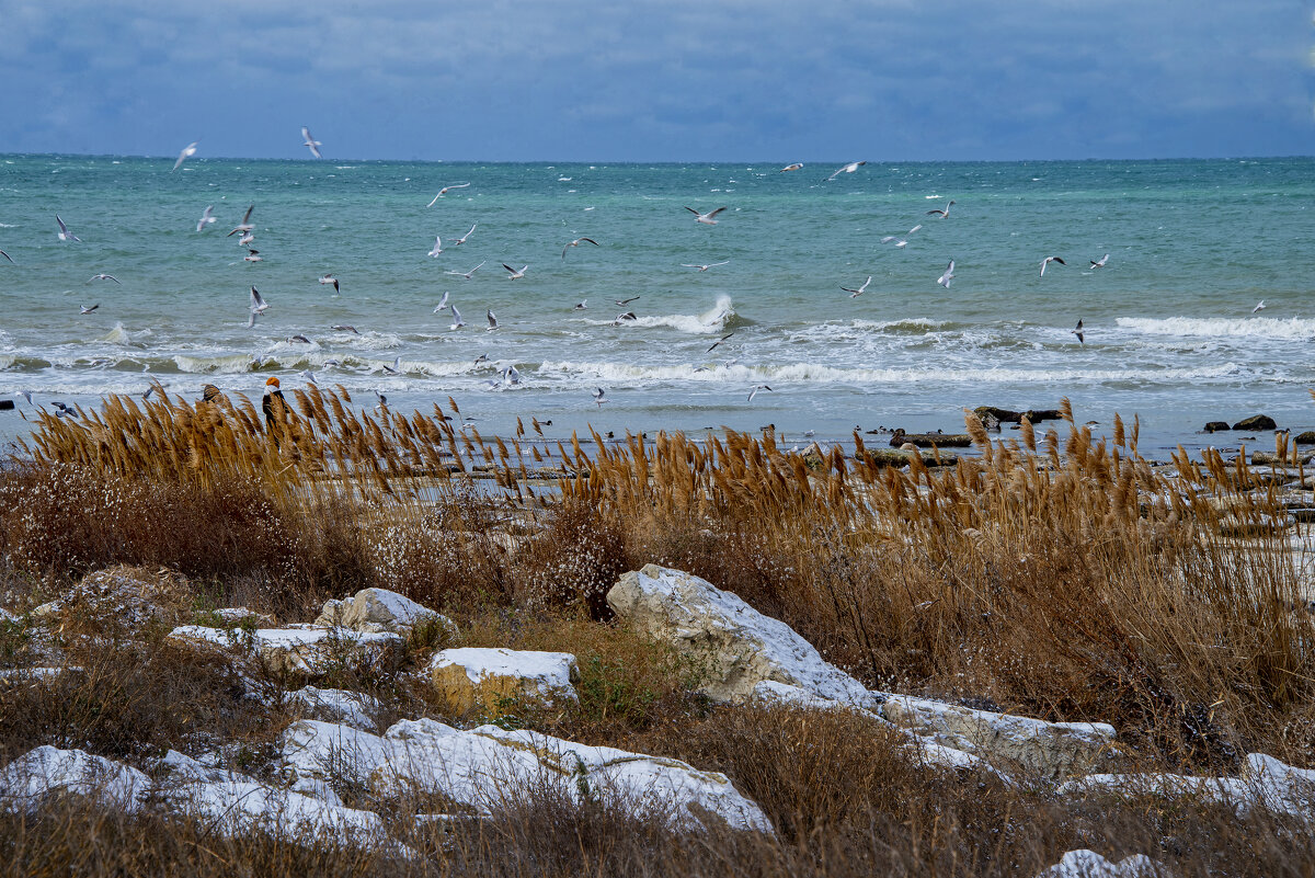 Берег - Анатолий Чикчирный