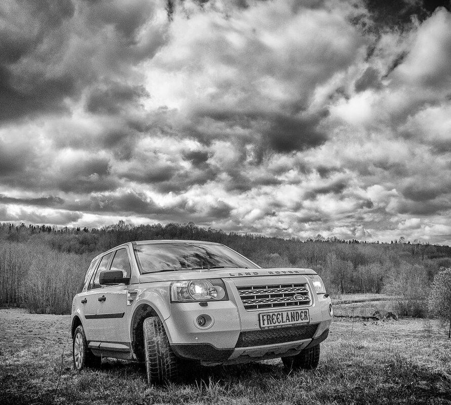 Freel на прогулке 2 - Олег Загорулько