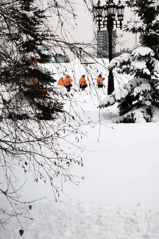 *** - Сергей Полянский