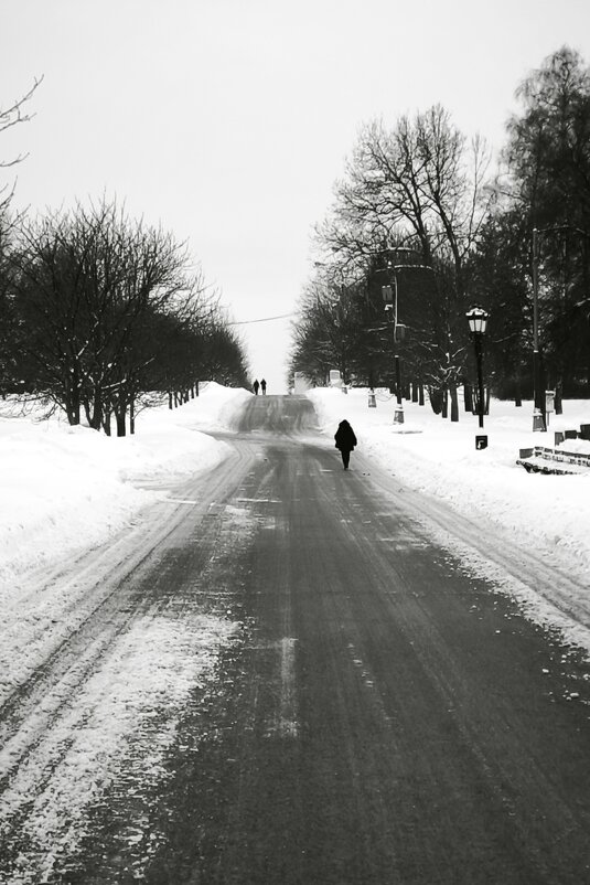 *** - Сергей Полянский