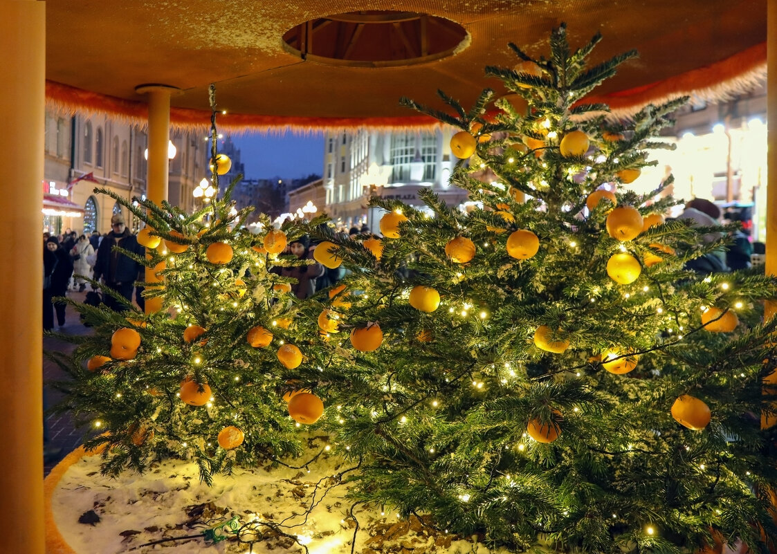 Московские ёлки - skijumper Иванов