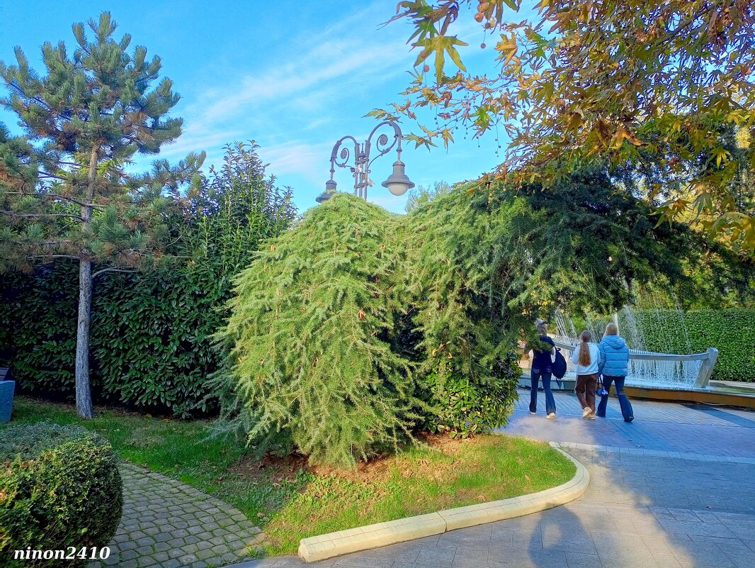 Адлер. Сочи Парк... - Нина Бутко