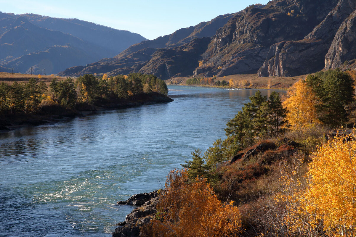 Катунь... - владимир 