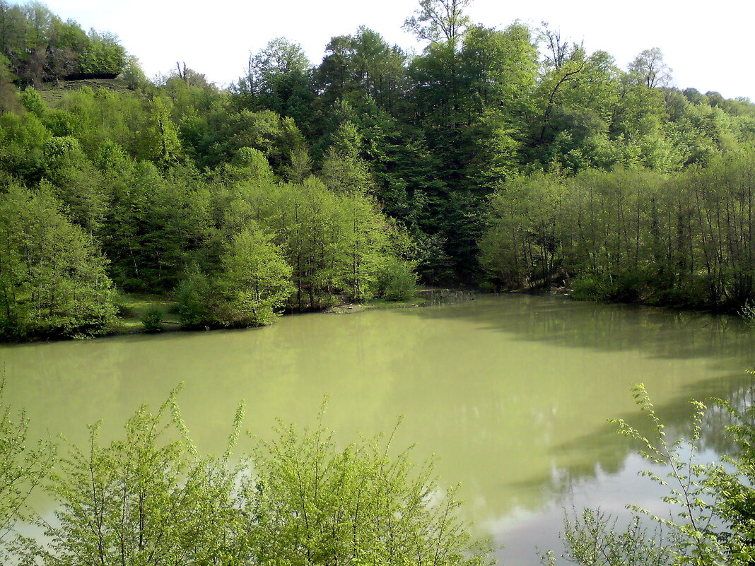 Озеро - Tata Wolf