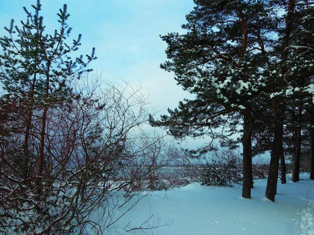 Заснеженный берег моря - Aida10 