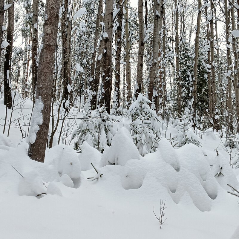 детский сад - Владимир 