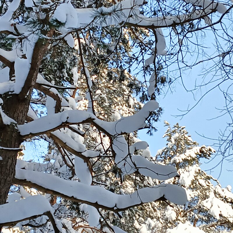 пейзаж - Владимир 