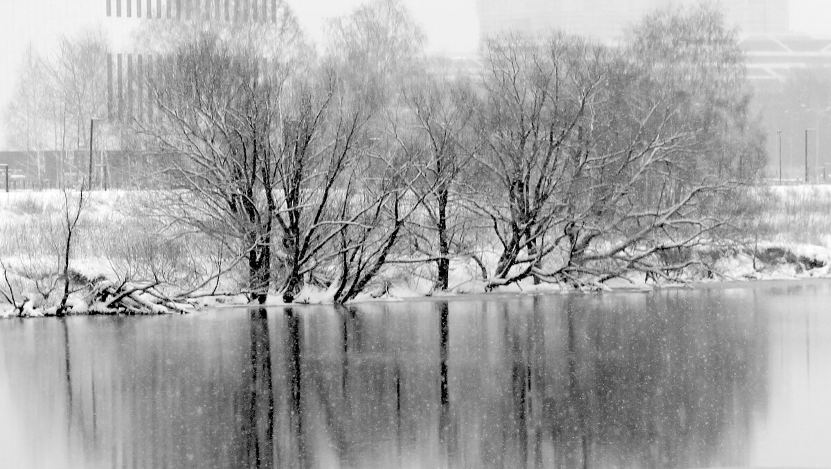 Зимний пейзаж - жанна нечаева