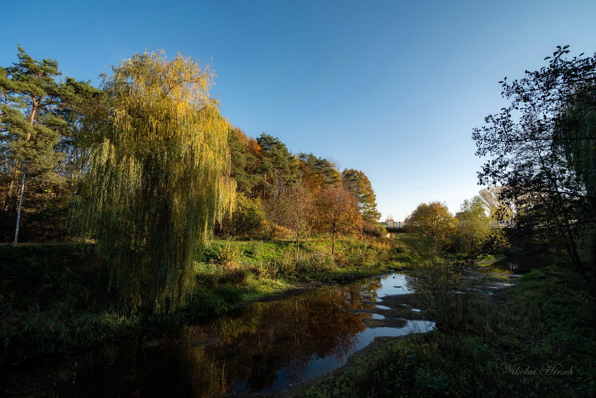 В тенистой части... - Николай Гирш