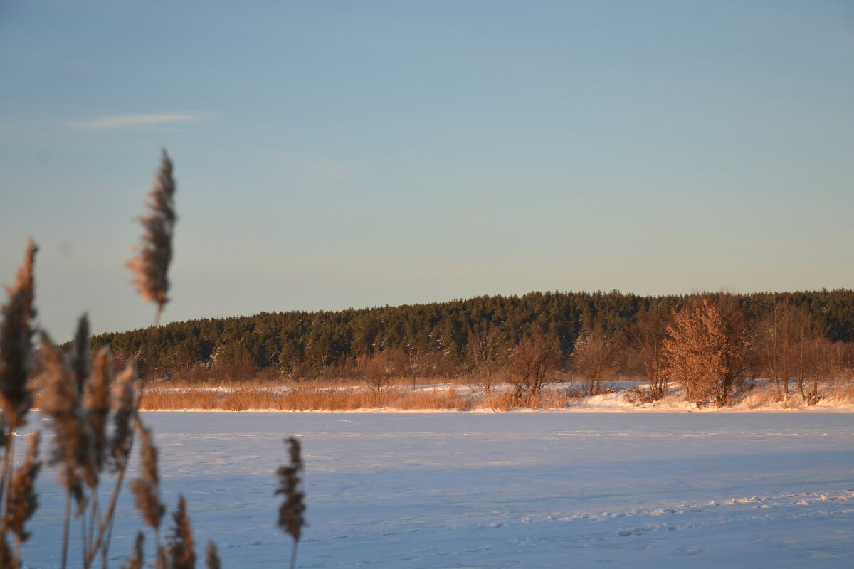 Прогулка к реке - Prizrak 777