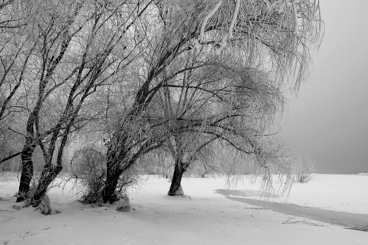 Холодный январь - Олегъ Петрович
