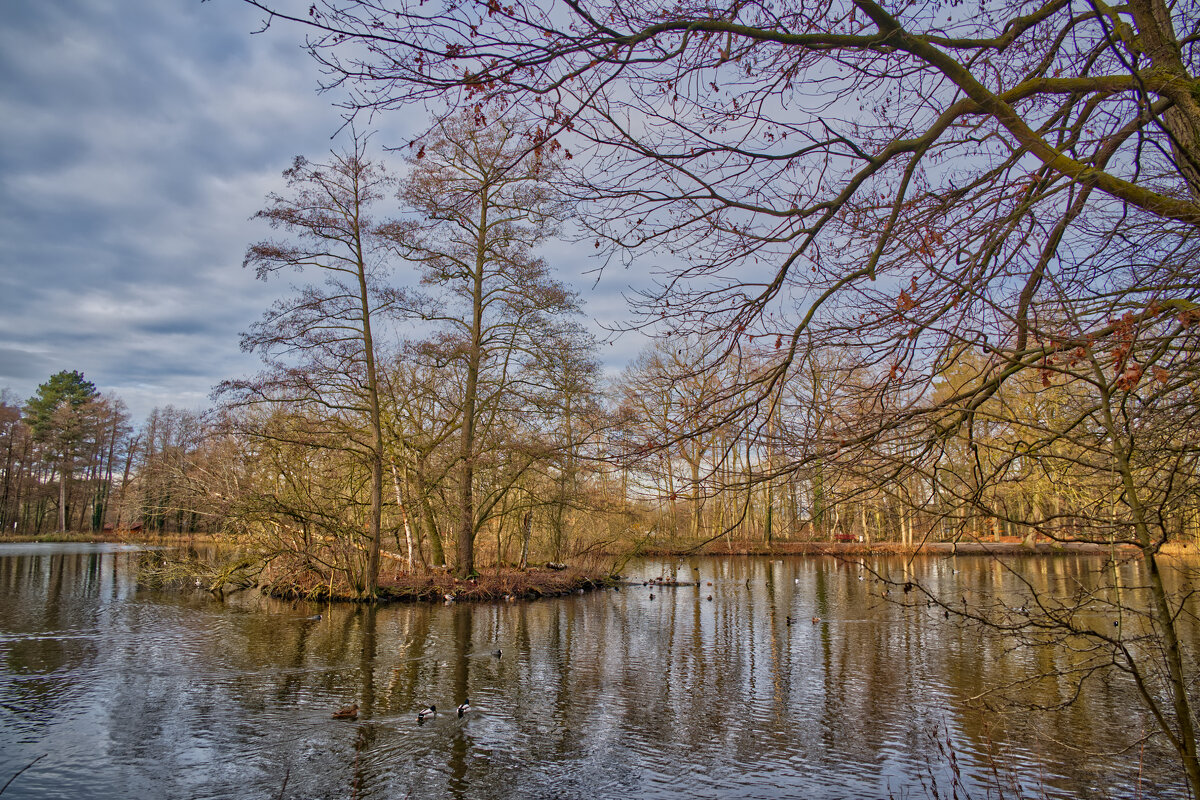 Рыбный пруд - Jakob Dick