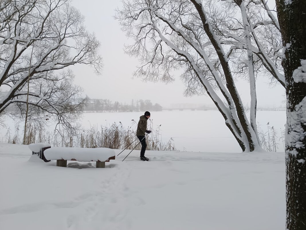 Про январь в непогоду - Мария Васильева
